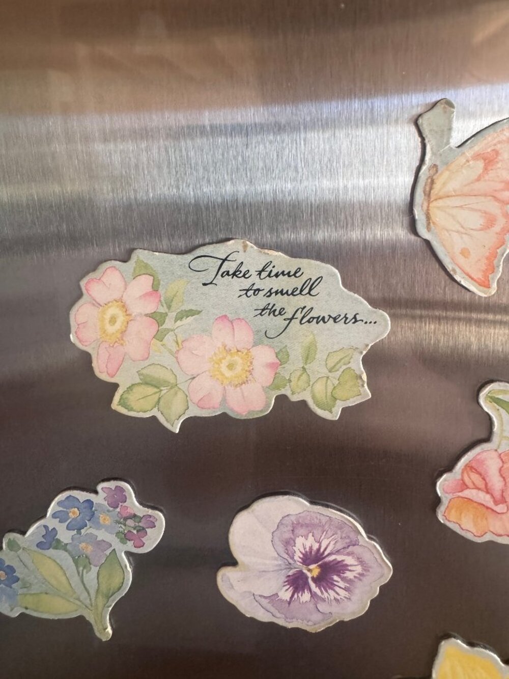 Vintage Floral Fridge Magnet Set - 8pc Watercolor Botanical & Butterfly - Picture 5 of 7